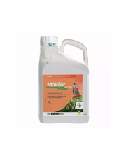 MAISTER POWER 42,5 OD 5 L