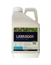 LABRADOR EXTRA 50 EC 5 L