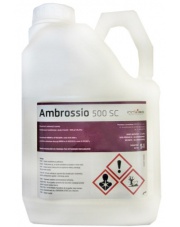 AMBROSSIO 500 SC 5 L