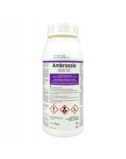 AMBROSSIO 500 SC 0,5 L