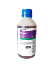 QUEEN 1 L