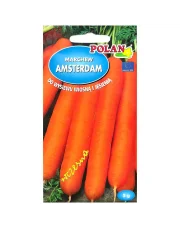 POLAN / PlantiCo Marchew jadalna Amsterdam 5G. odmiana wczesna