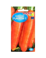 POLAN / PlantiCo Marchew jadalna  Flacoro Flakkese 2 5G. odmiana późno