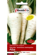 POLAN / PlantiCo Pietruszka Alba 5G. odmiana średnio późna