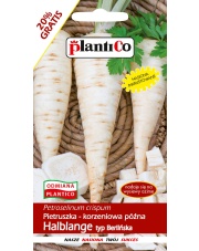 POLAN / PlantiCo Pietruszka Halblange - Berlińska 6G. odmiana późna