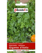 POLAN / PlantiCo Pietruszka naciowa Gigante d`Italia 5G.