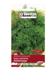 POLAN / PlantiCo Koper ogrodowy Ambrozja 5G. odmiana średnio późna 