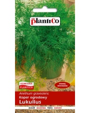 POLAN / PlantiCo Koper ogrodowy Lukullus 5G. odmiana wczesna