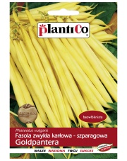 POLAN / PlantiCo Fasola szparagowa karłowa GOLDPANTERA 40G.odmiana średnio wczesna