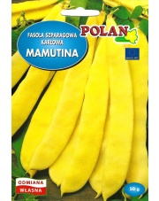POLAN / PlantiCo Fasola zw. karłowa Mamutina 50G. typ mamut odmiana średnio wczesna