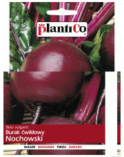 POLAN / PlantiCo Burak ćwikłowy NOCHOWSKI 10G.