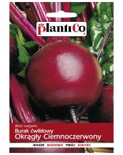 POLAN / PlantiCo Burak ćwikłowy OKRĄGŁY CIEMNOCZERWONY 10G.
