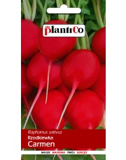 POLAN / PlantiCo Rzodkiewka CARMEN 10G.