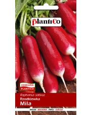 POLAN / PlantiCo Rzodkiewka MILA 10G.