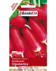POLAN / PlantiCo Rzodkiewka OPOLANKA 12G.