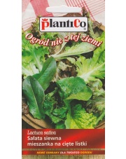 POLAN / PlantiCo Sałata siewna na cięte listki MIX (Baby leaf, młode listki) 1G.