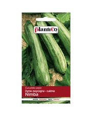 POLAN / Plantico Cukinia Nimba 3G.