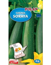 POLAN / PlantiCo Cukinia Soraya POL 3G.