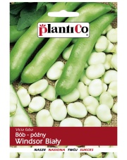 POLAN / PlantiCo Bób Windsor Biały 50g.
