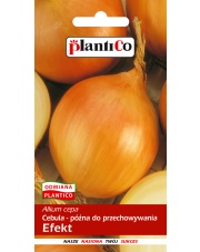 POLAN / PlantiCo Cebula Allium cepa Efekt 5G.