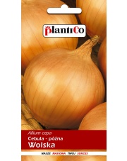 POLAN / PlantiCo Cebula - późna Wolska 5G.