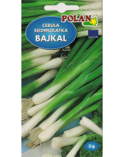 POLAN / PlantiCo Cebula siedmiolatka Bajkal 3G.