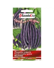 POLAN / PlantiCo Fasola szparagowa tyczna BLAUHILDE 10G.