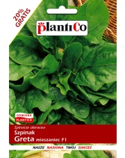 POLAN / PlantiCo Szpinak GRETA mieszaniec F1 12G.