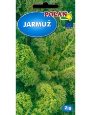 POLAN / PlantiCo Jarmuż Halbhoher gruner krauser 2G.