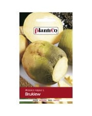 POLAN / PlantiCo Brukiew jadalna Wilhelmsburger 10G. 