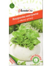 POLAN / PlantiCo Roszponka warzywna D'Olanda a Seme Grosso 0,5G.