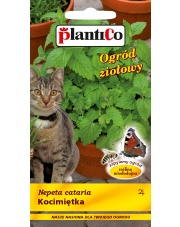 POLAN / PlantiCo Kocimiętka 0,5G.