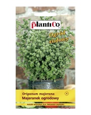 POLAN / PlantiCo Majeranek ogrodowy 0,5G.