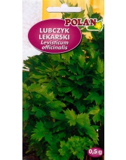 POLAN / PlantiCo Lubczyk ogrodowy 0,5G.