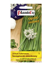 POLAN / PlantiCo Szczypiorek czosnkowy 1G.