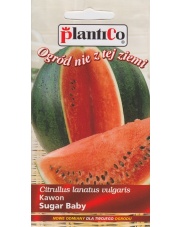 POLAN / PlantiCo Kawon / Arbuz SUGAR BABY 2G.