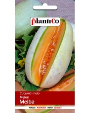 POLAN / PlantiCo Melon MELBA 1G.
