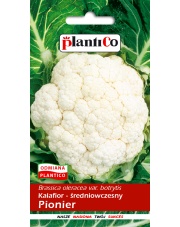 POLAN / PlantiCo Kalafior Pionier 1G.