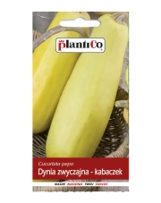 POLAN / PlantiCo Kabaczek ZŁOTY CEPELIN 2G.