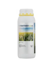 FANTASIA 800 EC 1 L