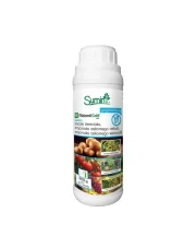 RIDOMIL GOLD R 200G przeciwko zarazie ziemniaka mączniak rzekomy