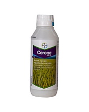 CERONE 480 SL 1 L