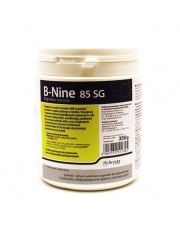 B-NINE 85 SG 0,350 KG