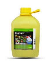 SIGNUM 33 WG  2,5 KG