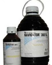 NAVIGATOR 360 SL 0,5 L