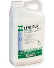 LENTIPUR FLO 500 SC 5 L